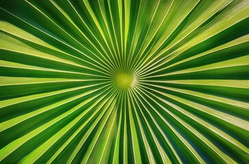 Obraz premium Symmetrical Green Palm Leaf Close-Up