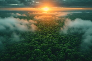 AI Generative Beautiful green amazon forest landscape at sunset sunrise Adventure explore air dron view vibe Graphic Art