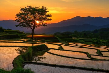 Sunset Over Water-Filled Rice Terraces with Silhouetted Mountains