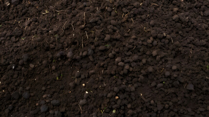 slightly coarser garden soil