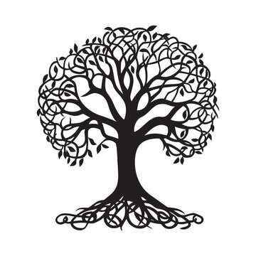 Celtic Tree of Life Clipart, Celtic Tree  Silhouette - A Celtic Beech of Durrus tree illustration in black and white