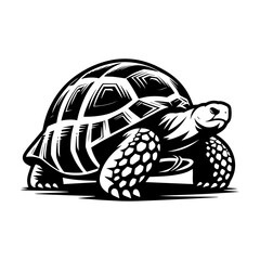 Aldabra giant tortoise vector icon