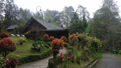 A charming wooden cabin nestled in a forest, surrounded by vibrant foliage and a well-maintained...