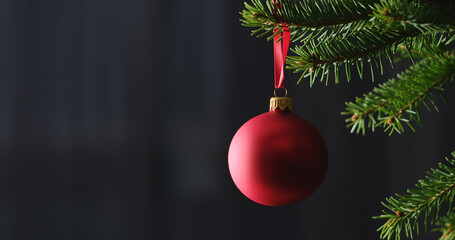 red chrismas ball on a spruce branch indoor