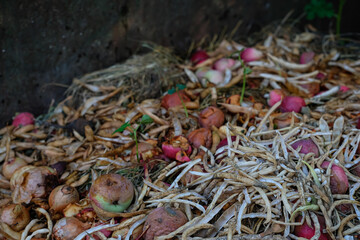 Compost pit at home. Natural decomposition of organic materials. Composting is nature’s way of...
