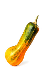 Natural juicy  pumpkin on a white background,  selective focus