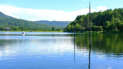 Summer Goddess Lakeside