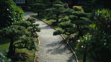Fototapeta premium A tranquil Japanese garden path with bonsai trees