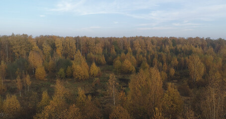 Fototapeta premium Aerial view over autumn rural landscape with field and forest in the morning