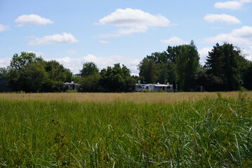 Blick über die Wiese auf einen Wohnmobilstellplatz in Bad Buchau in Baden-Württemberg