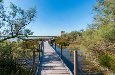 Paysage de la Petite Camargue, avec  au loin, la tour Carbonnière, Gard, France