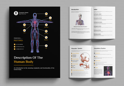 Description Of The Human Body Brochure Template