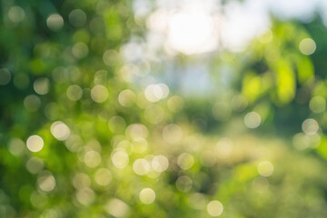 Obraz premium The image is a blurry green forest with a bright sun shining through the trees