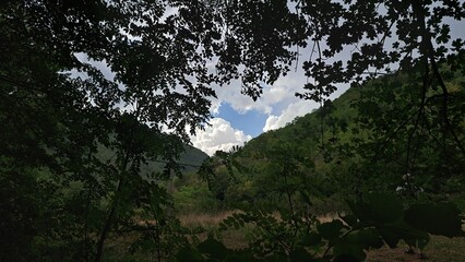 montagne alberi e nuvole