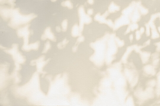 Leaf shadow and light on wall beige abstract background. Nature tropical leaves plant and tree branch shade with sunlight on wall texture for background wallpaper and design, shadow overlay effect