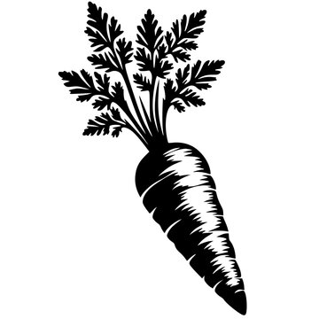 recommend clip art: Carrot vegetable silhouette