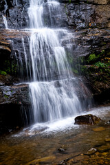 Fototapeta premium waterfall in the woods