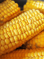 Corn is delicious raw corn cooked in water with drops of water on the vegetable