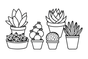 Vector illustration of diverse succulents in textured pots, perfect for botanical designs.