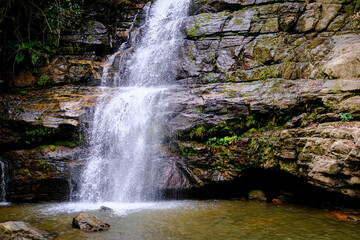 Fototapeta premium waterfall in the woods