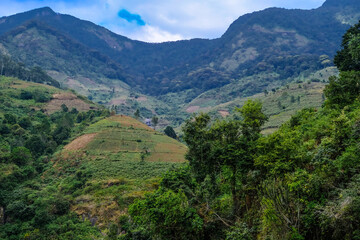 Fototapeta premium landscape in the mountains
