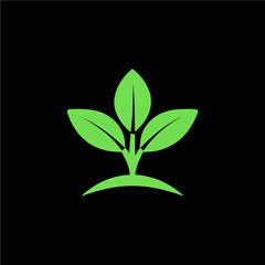 a green plant on a black background with a green leaf.