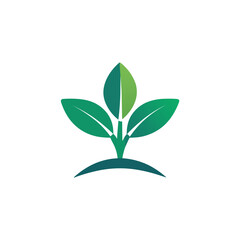 a green plant on a black background with a green leaf.