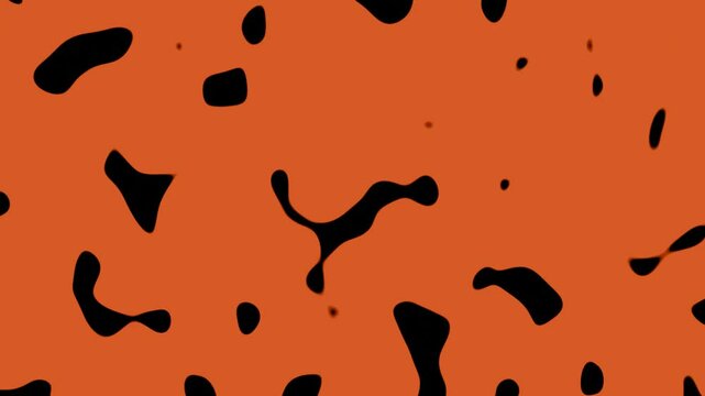 orange and black halloween coloured abstract 2d background animation