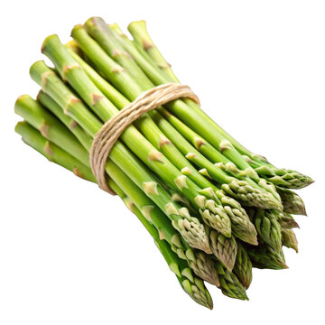 recommend clip art: fresh asparagus on white