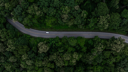 Aerial view car drive in green tree forest road winding road through the forest, Car drive on asphalt road between green tree forest, Electric vehicle EV car drive on asphalt road green tree forest.