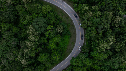 Aerial view car drive in green tree forest road winding road through the forest, Car drive on asphalt road between green tree forest, Electric vehicle EV car drive on asphalt road green tree forest.