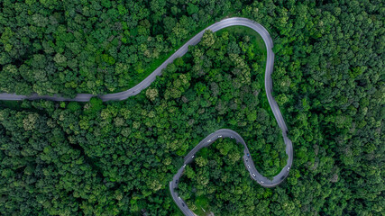 Aerial view car drive in green tree forest road winding road through the forest, Car drive on asphalt road between green tree forest, Electric vehicle EV car drive on asphalt road green tree forest.