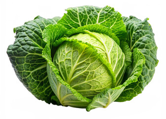Fototapeta premium cabbage png