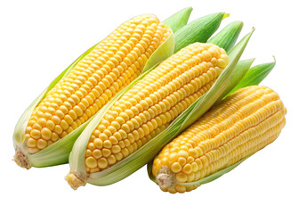 corns