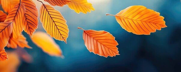 Fototapeta premium Leaves Blowing in the wind, fog creeping through the air, soft golden light with deep shadow, detailed leaf and wind motion