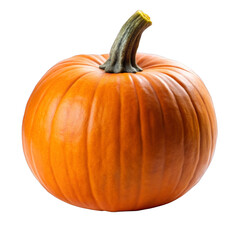 pumpkin isolated png