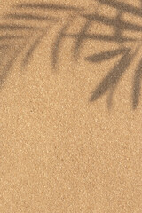 Sand on a beach with palm leaf shadow silhouette background. Tropical beach background concept