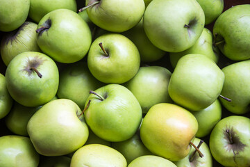 A mass of bright green apples