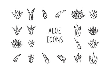 Hand drawn doodle aloe vera outline icon set