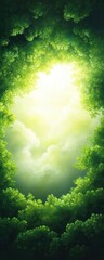 Fototapeta premium A serene light filtering through lush green foliage, creating a calming atmosphere in a natural setting.