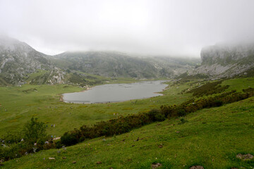 fog over the Covadonga lakes, Picos de Europa, Asturias, Spain