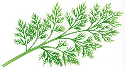 Fototapeta premium Delicate illustration of a stylized dill weed icon, featuring feathery green leaves and a slender stem, perfect for culinary or herbal themed designs.