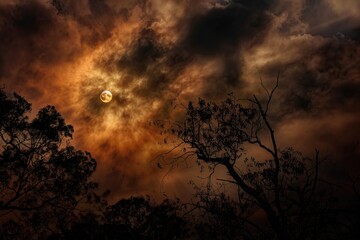 Fototapeta premium A dramatic sunset scene with dark clouds, illuminated by a glowing sun, creating an atmospheric and moody landscape.