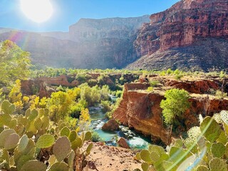 First view of the Havasu blue water in Havasupai Grand Canyon, desert landscape, cactus © Ashley