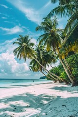 Sunny day at the beach with palm trees and sand dunes