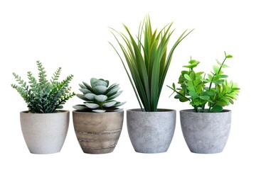 Obraz premium Three small plants in pots sit side by side