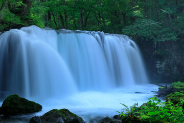 Fototapeta premium 青森県 奥入瀬渓流 銚子大滝 8月