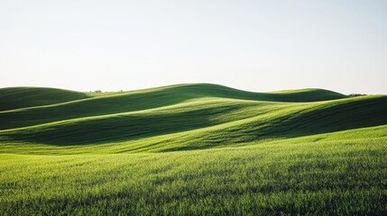 Vast green hills under a clear sky create a serene landscape, perfect for relaxation or nature-themed projects.