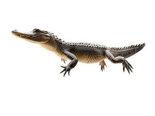 Naklejka premium photo of a crocodile floating mid-air on isolated background 