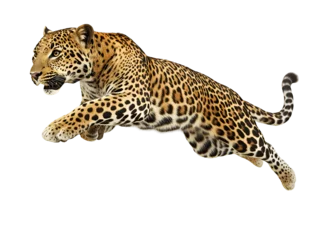 Fototapete Rund photo of a leopard floating mid-air on isolated background  © Thak Pixel